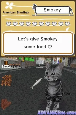 Animal Paradise gameplay screenshot on DS