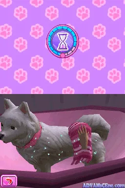 Barbie: Groom and Glam Pups gameplay screenshot on DS