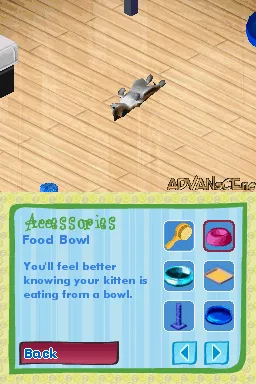 Catz gameplay screenshot on DS