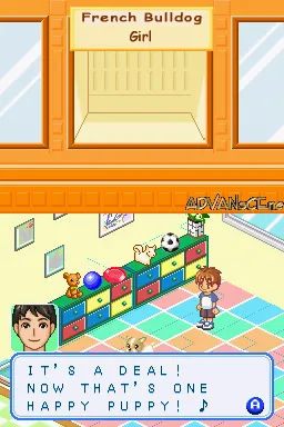 Dogz gameplay screenshot on DS