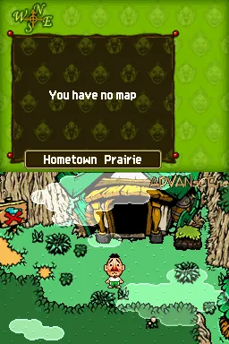 Freshly-Picked Tingle's Rosy Rupeeland gameplay screenshot on DS