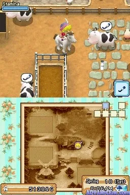 Harvest Moon DS: Grand Bazaar gameplay screenshot on DS