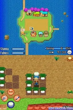 Harvest Moon DS: Sunshine Islands gameplay screenshot on DS