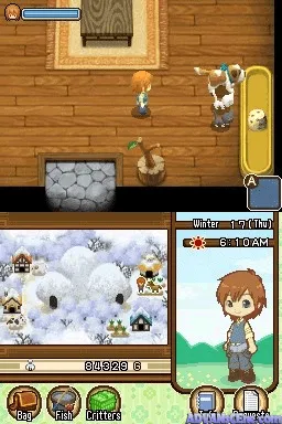 Harvest Moon: The Tale of Two Towns gameplay screenshot on DS