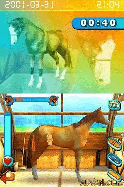 Horsez gameplay screenshot on DS