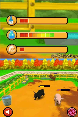 Imagine: Animal Doctor gameplay screenshot on DS