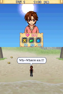 Lost in Blue 3 gameplay screenshot on DS