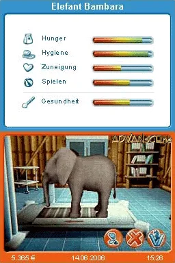 My Animal Centre in Africa gameplay screenshot on DS