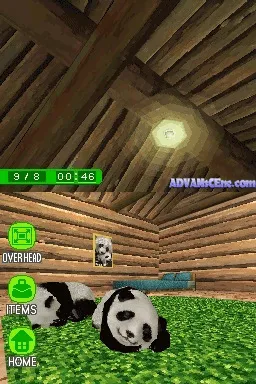 National Geographic Panda gameplay screenshot on DS