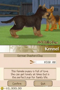 Nintendogs gameplay screenshot on DS