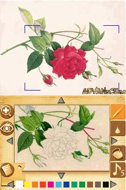 Paint By DS gameplay screenshot on DS