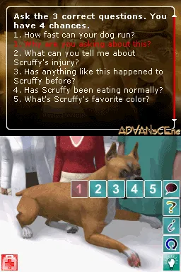 Pet Pals: Animal Doctor gameplay screenshot on DS