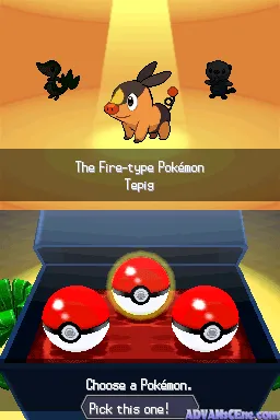 Pokémon Black gameplay screenshot on DS