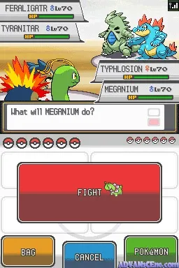 Pokémon SoulSilver gameplay screenshot on DS