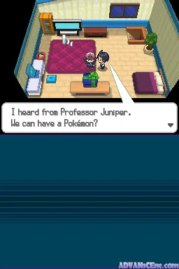 Pokémon White gameplay screenshot on DS