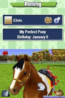 Pony Friends gameplay screenshot on DS