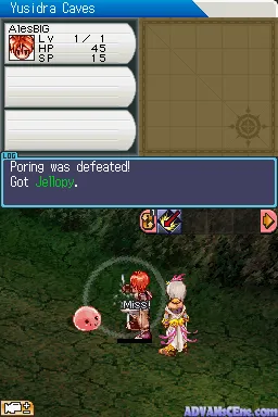 Ragnarok DS gameplay screenshot on DS
