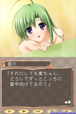 Really? Really! gameplay screenshot on DS