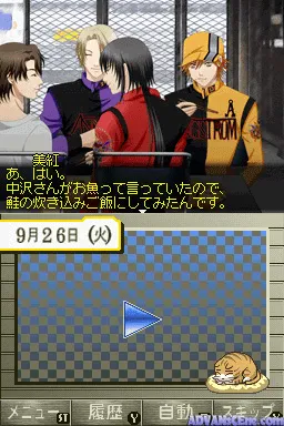 Signal gameplay screenshot on DS