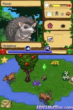 SimAnimals gameplay screenshot on DS