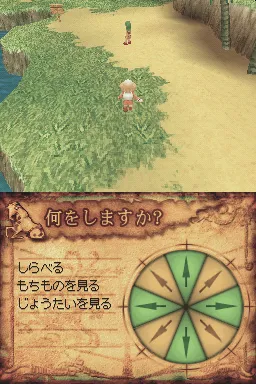 Tao's Adventure: Curse of the Demon Seal gameplay screenshot on DS