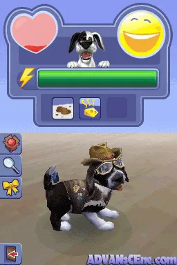 The Sims 2: Apartment Pets gameplay screenshot on DS