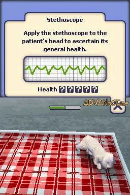 The Sims 2: Pets gameplay screenshot on DS
