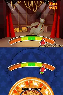 Tigerz gameplay screenshot on DS