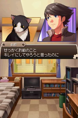 Time Hollow gameplay screenshot on DS