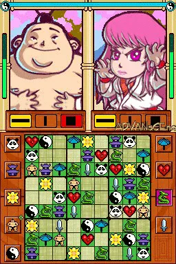 Zendoku gameplay screenshot on DS