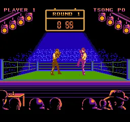 Best of the Best: Championship Karate gameplay screenshot on NES