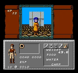 Dungeon Magic: Sword of the Elements gameplay screenshot on NES