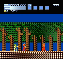 Flying Dragon: The Secret Scroll gameplay screenshot on NES