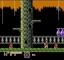 Master Chu and the Drunkard Hu gameplay screenshot on NES