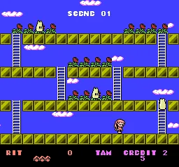 Rod Land gameplay screenshot on NES