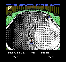 Skate or Die! gameplay screenshot on NES