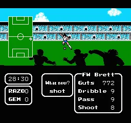 Tecmo Cup Soccer Game gameplay screenshot on NES