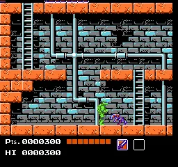 Teenage Mutant Ninja Turtles gameplay screenshot on NES