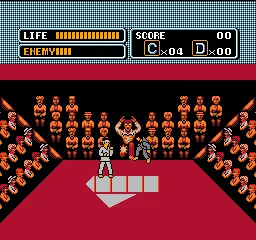 The Karate Kid gameplay screenshot on NES
