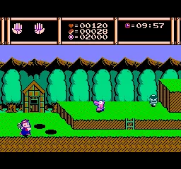 Woody Poko gameplay screenshot on NES