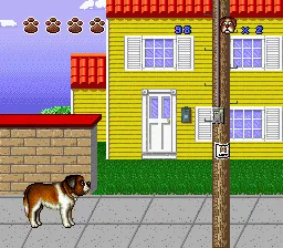 Beethoven: The Ultimate Canine Caper gameplay screenshot on SNES