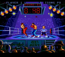 Best of the Best: Championship Karate gameplay screenshot on SNES