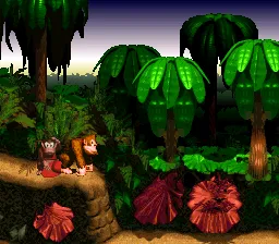 Donkey Kong Country gameplay screenshot on SNES