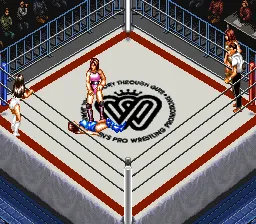 Super Fire Pro Wrestling: Queen's Special gameplay screenshot on SNES