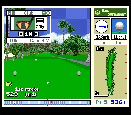 True Golf Classics: Waialae Country Club gameplay screenshot on SNES