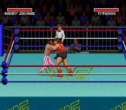 WWF Super WrestleMania gameplay screenshot on SNES